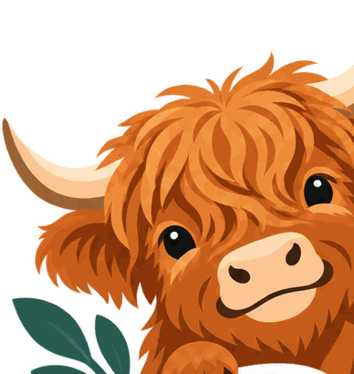 Illustration of Clover, a fluffy orange Highland calf